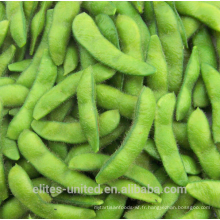 Pois d&#39;Edamame Frozen de haute qualité IQF Edamame